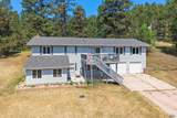 10311 Pine Canyon Rd - Photo 2