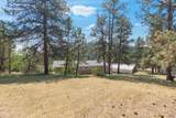 10311 Pine Canyon Rd - Photo 6