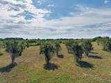 23288 Radar Hill Rd - Photo 11