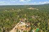 21608 High Country Loop - Photo 30