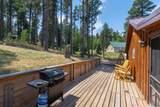 21608 High Country Loop - Photo 4