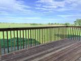 4258 Lodi Ln - Photo 9