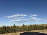 14851 Radar Hill Dr - Photo 16