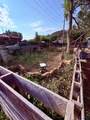 892 Other - Photo 4