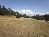 10379 Turkey Trail - Photo 12