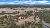 10379 Turkey Trail - Photo 13