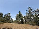 10379 Turkey Trail - Photo 17