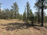 10379 Turkey Trail - Photo 19