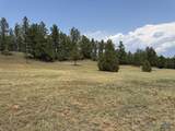 10379 Turkey Trail - Photo 20