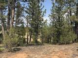 10379 Turkey Trail - Photo 21