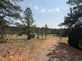 10379 Turkey Trail - Photo 22