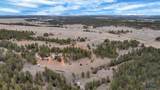 10379 Turkey Trail - Photo 23