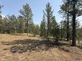 10379 Turkey Trail - Photo 24