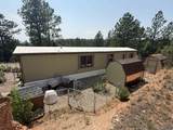 10379 Turkey Trail - Photo 25