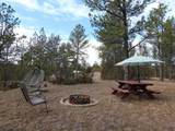 10379 Turkey Trail - Photo 29