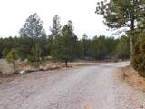 10379 Turkey Trail - Photo 30