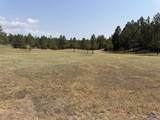 10379 Turkey Trail - Photo 31