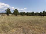 10379 Turkey Trail - Photo 32