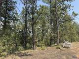 10379 Turkey Trail - Photo 33