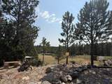 10379 Turkey Trail - Photo 34