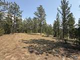10379 Turkey Trail - Photo 8