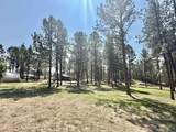 12237 Weaver Drive - Photo 31