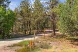 27585 Hwy 79 - Photo 19