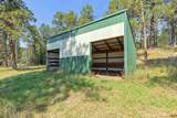 12203 Nemo Rd - Photo 8