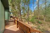27438 Red Fox Rd - Photo 25