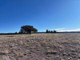 TBD Us Highway 85 - Photo 5