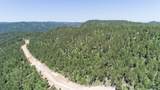 Lot 105 Paradise Gulch Loop - Photo 1