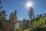 Lot 105 Paradise Gulch Loop - Photo 27