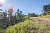 Lot 105 Paradise Gulch Loop - Photo 29