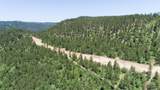 Lot 105 Paradise Gulch Loop - Photo 4