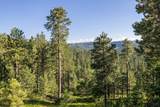 Lot 126 Paradise Gulch Loop - Photo 28
