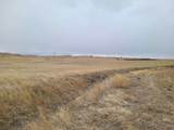 TBD High Bluff Dr - Photo 5