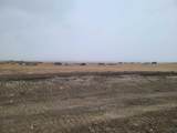 TBD High Bluff Dr - Photo 5