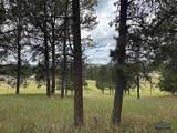 12127 Chickadee Ln - Photo 3