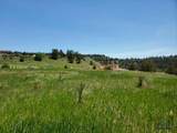 27559 Denise Drive - Photo 1