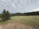 27559 Denise Drive - Photo 4