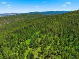 80.1 +/- Acres Crook Mountain Rd - Photo 10