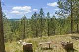 24705 Timber Ridge Rd - Photo 25