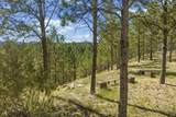 24705 Timber Ridge Rd - Photo 26