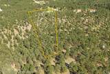 24705 Timber Ridge Rd - Photo 29
