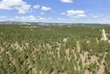 24705 Timber Ridge Rd - Photo 31
