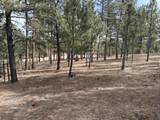 TBD Gunsmoke Ln - Photo 3