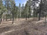 TBD Gunsmoke Ln - Photo 4
