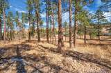 12767 Mohawk Dr - Photo 13