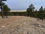 11562 Red Canyon Rd - Photo 12