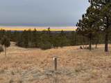 11562 Red Canyon Rd - Photo 13